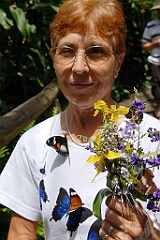 0676 Butterfly Sanctuary Kuranda
